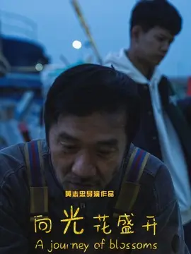 向光花盛开简介